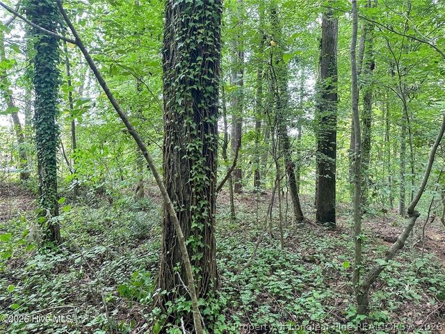 TBD South Pointe Point, Sanford, NC 27330