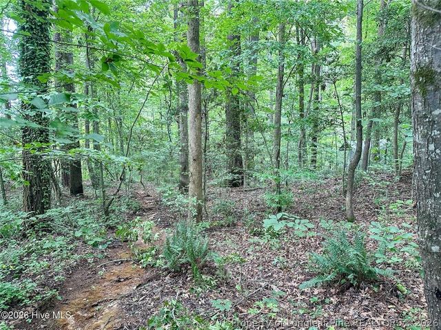 TBD South Pointe Point, Sanford, NC 27330