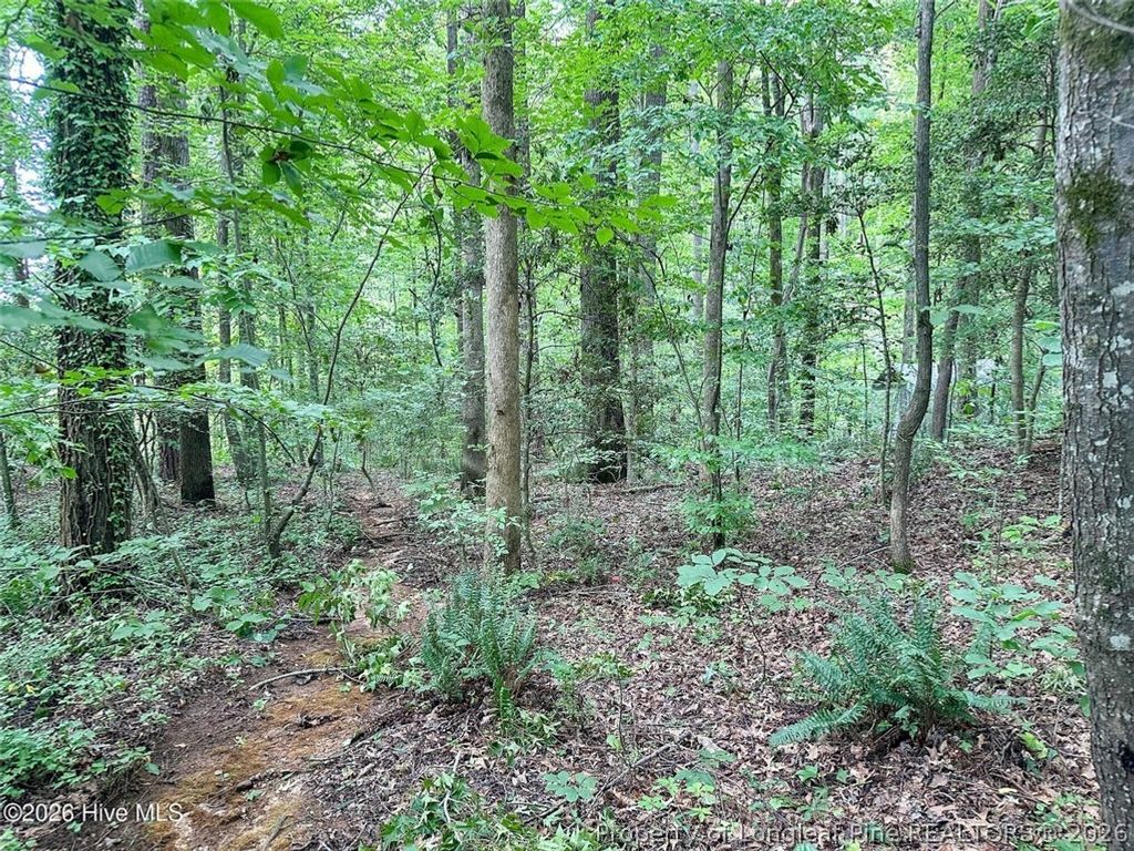 TBD South Pointe Point, Sanford, NC 27330 — photo 7