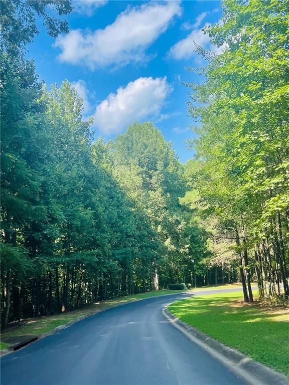 711 Hawks Ridge Drive, Ball Ground, GA 30107