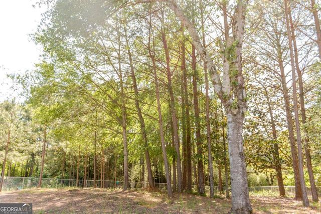 115 Sourwood Dr, Mansfield, GA 30055