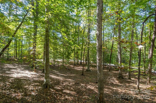 329 Cinnamon Ridge, Rutherfordton, NC 28139