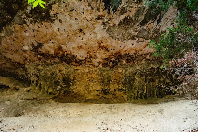 208 CR 3315, Valley Mills, TX 76689