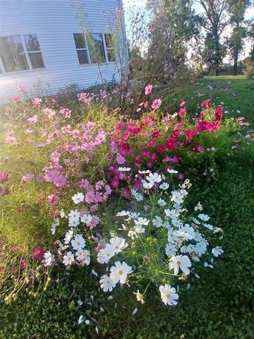 2489 10 Mile Road, Sparta, MI 49345