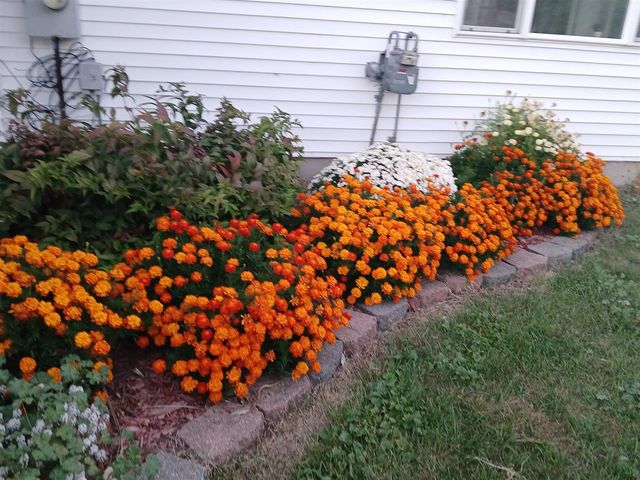 2489 10 Mile Road, Sparta, MI 49345