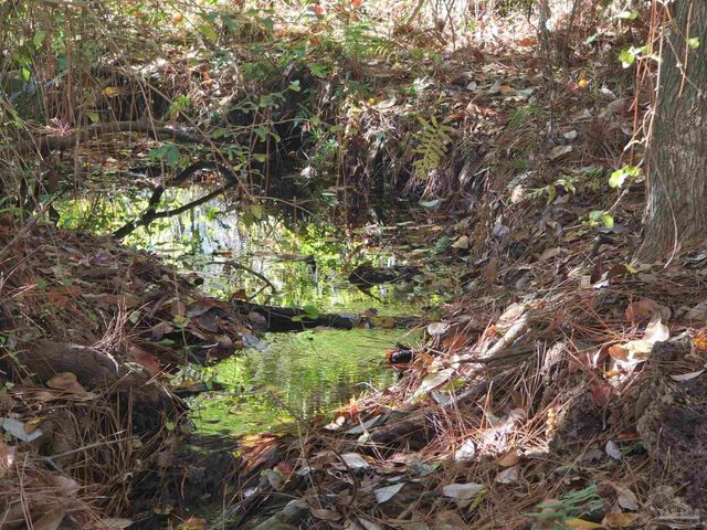 1821 Winding Creek Cir, Cantonment, FL 32533