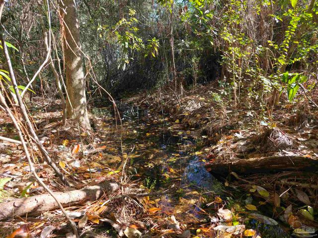 1821 Winding Creek Cir, Cantonment, FL 32533