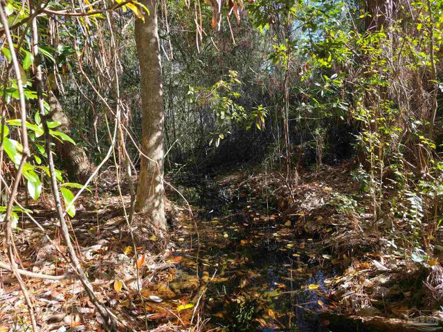 1821 Winding Creek Cir, Cantonment, FL 32533