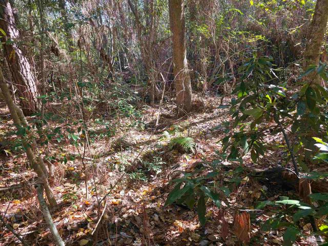 1821 Winding Creek Cir, Cantonment, FL 32533