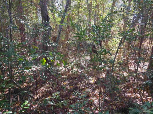 1821 Winding Creek Cir, Cantonment, FL 32533