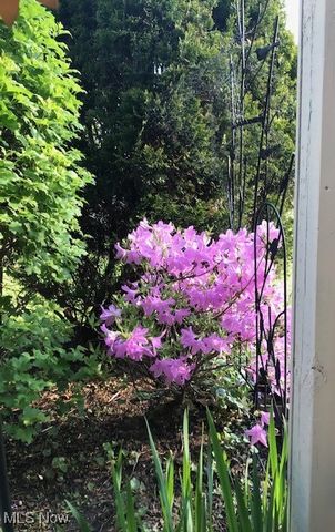 15504 Roxboro Drive, Middleburg Heights, OH 44130