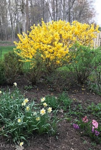 15504 Roxboro Drive, Middleburg Heights, OH 44130