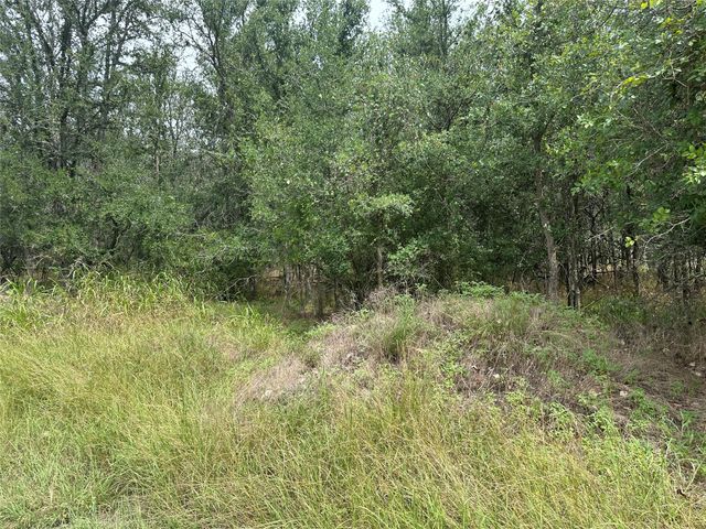 107 Halawa CT, Bastrop, TX 78602