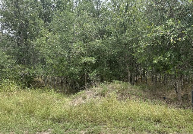 107 Halawa CT, Bastrop, TX 78602