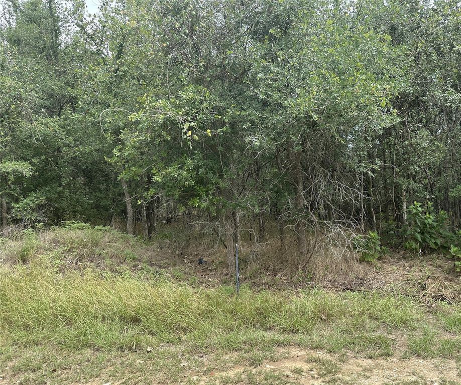 107 Halawa CT, Bastrop, TX 78602