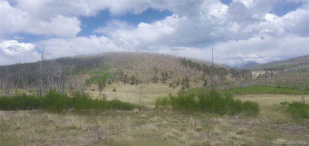 1648 Cary Lane, Fort Garland, CO 81133