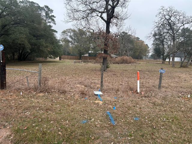 27604 Joseph Road, Hockley, TX 77447