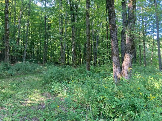 42 Wiggins Road, Fairfax, VT 05454