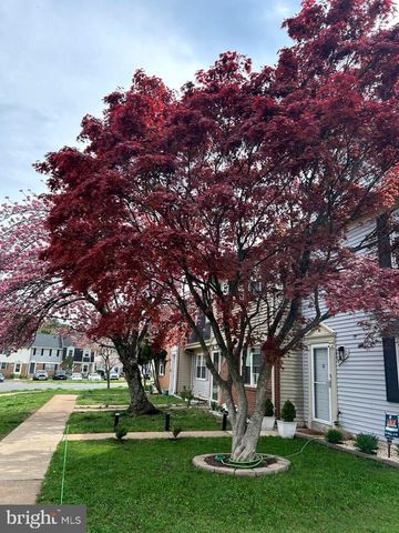 8596 ADAMSON ST, Manassas, VA 20110