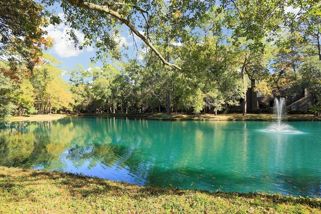 259 Litchfield Lane 66, Houston, TX 77024