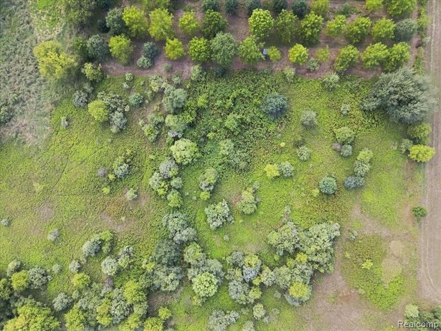 3756 Reamer Road, Lapeer, MI 48446