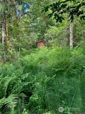 50 N Canvasback Place, Hoodsport, WA 98548