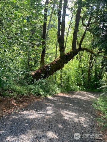 50 N Canvasback Place, Hoodsport, WA 98548