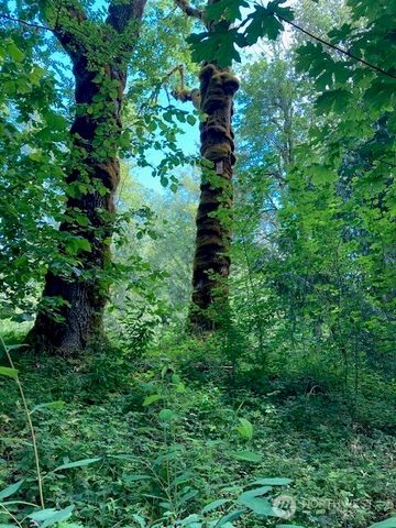 50 N Canvasback Place, Hoodsport, WA 98548