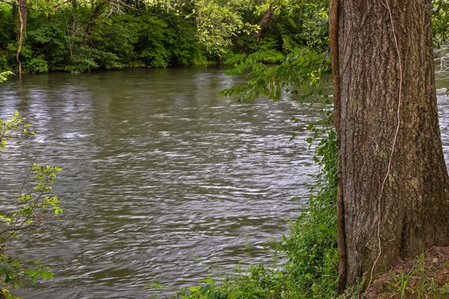 1020 Thomas Road, Benton, TN 37307