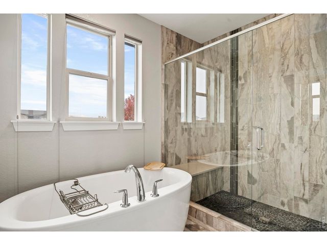 2572 Bluestem Willow Dr, Loveland, CO 80538