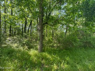 0001 Old Hwy 471, Brandon, MS 39042