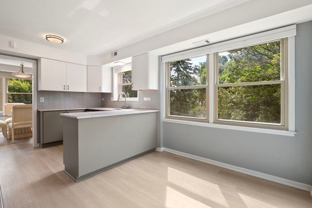 1535 Park Avenue 304, River Forest, IL 60305