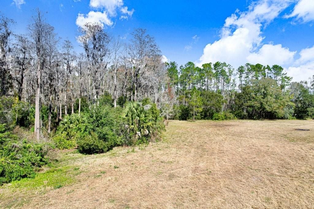 Image 13 of property listing at 1ST, Lutz, FL 33558