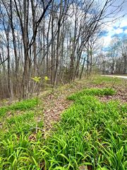 0 Coconut Ridge Rd, Smithville, TN 37166
