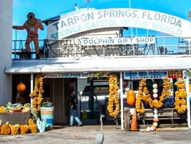 1461 N RIVER CIRCLE, Tarpon Springs, FL 34689
