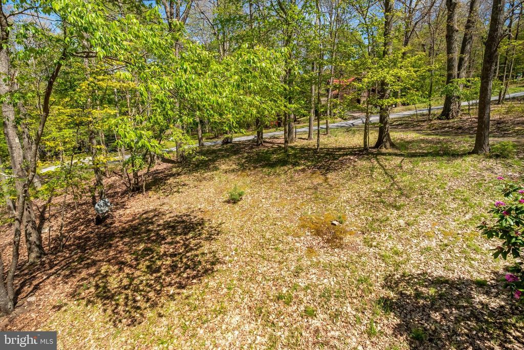 Image 19 of property listing at 365 RIDGE RD, Swanton, MD 21561