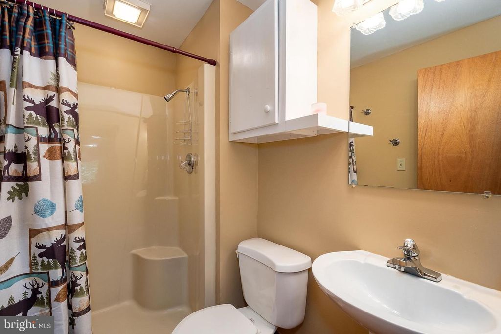 Image 34 of property listing at 365 RIDGE RD, Swanton, MD 21561