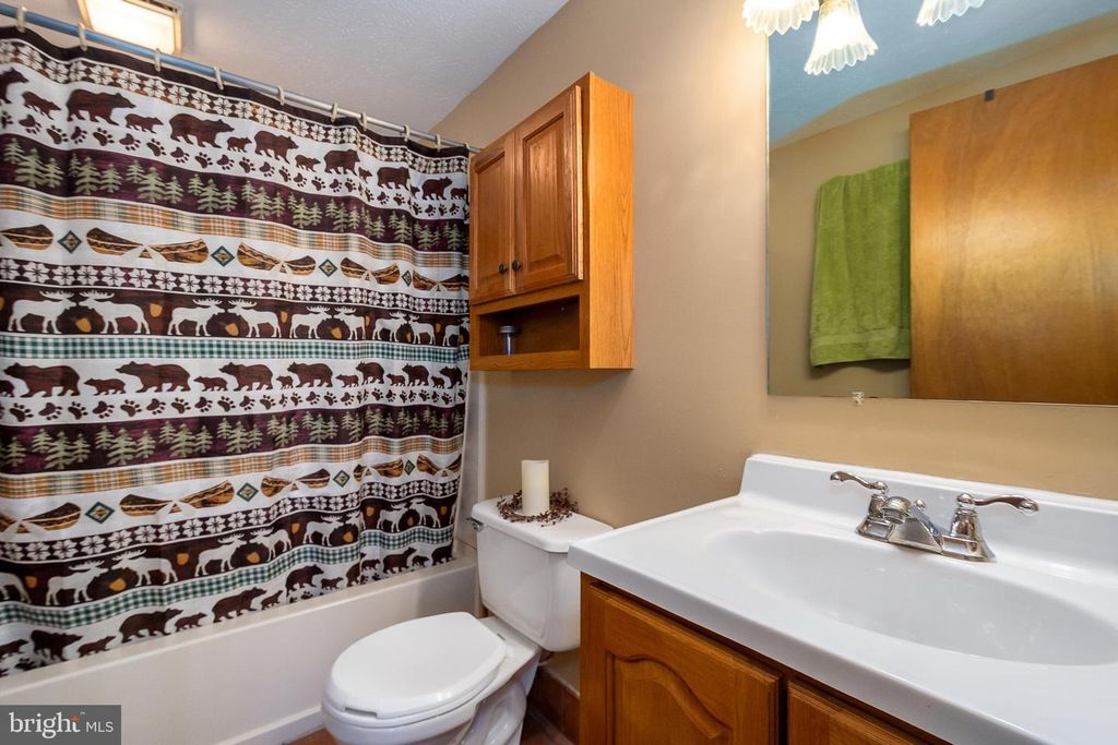 Image 42 of property listing at 365 RIDGE RD, Swanton, MD 21561