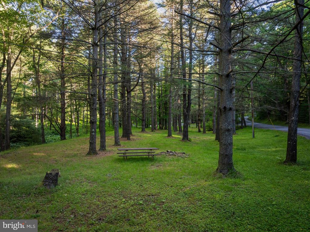 Image 46 of property listing at 365 RIDGE RD, Swanton, MD 21561