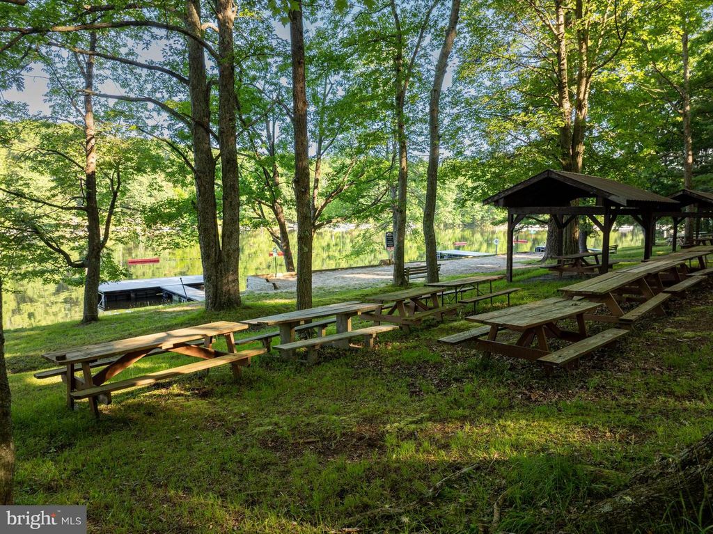 Image 47 of property listing at 365 RIDGE RD, Swanton, MD 21561
