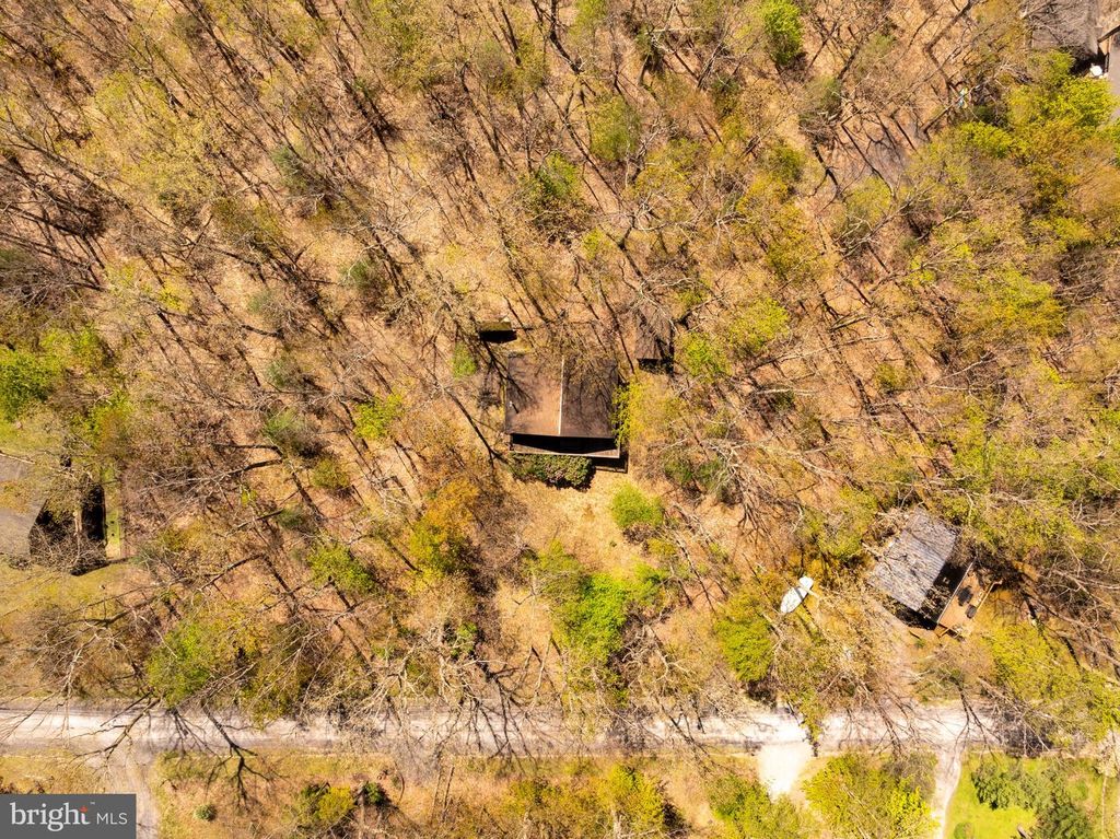Image 51 of property listing at 365 RIDGE RD, Swanton, MD 21561