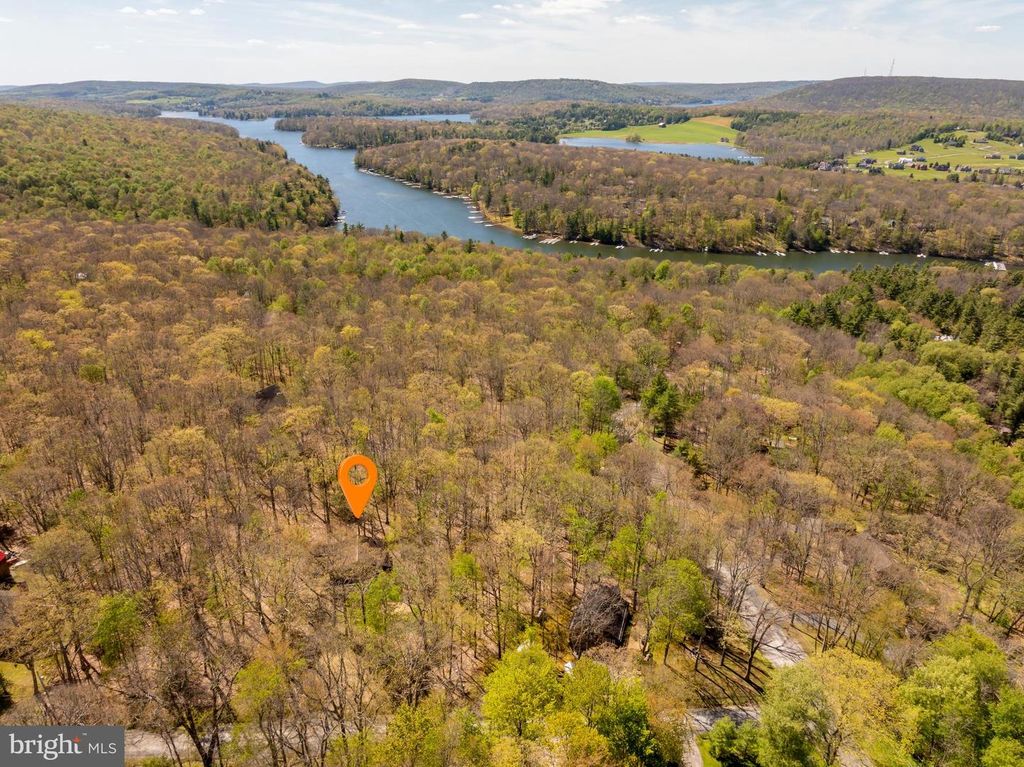 Image 9 of property listing at 365 RIDGE RD, Swanton, MD 21561