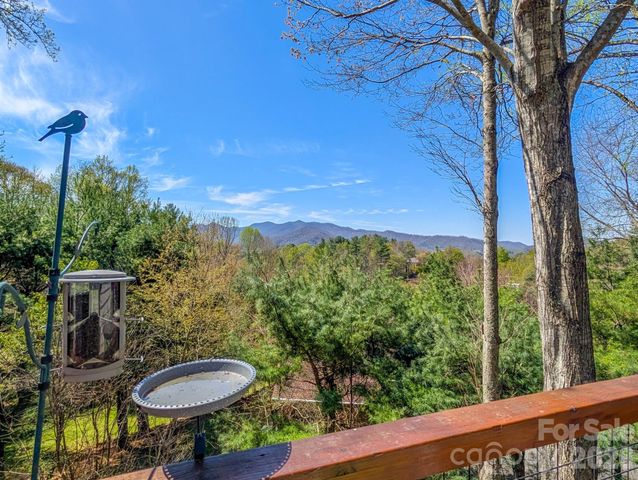 254 Shepard Way, Burnsville, NC 28714