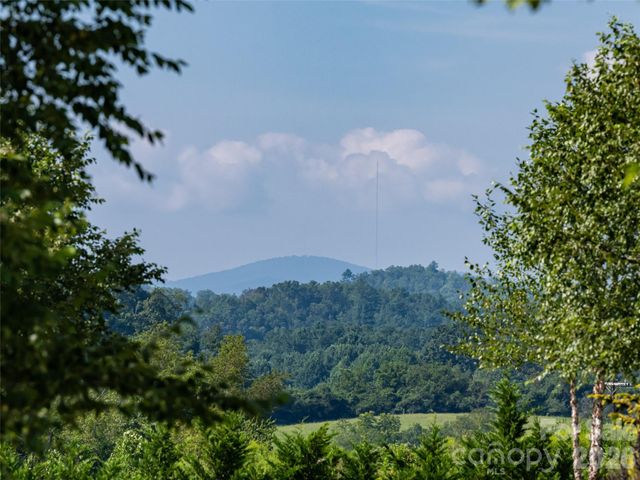 46 Solomia Drive, Mills River, NC 28759