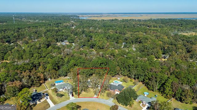 387 Sandhurst Drive, Richmond Hill, GA 31324