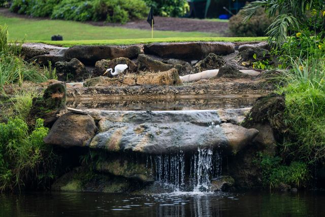 1832 Bridgewood Drive, Boca Raton, FL 33434