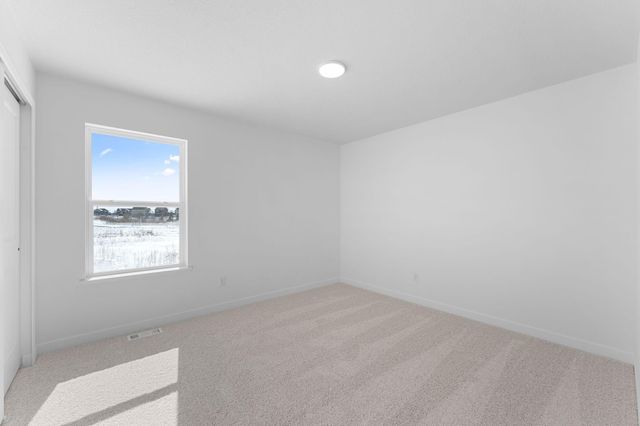 1905 Dogwood Court, Carver, MN 55315