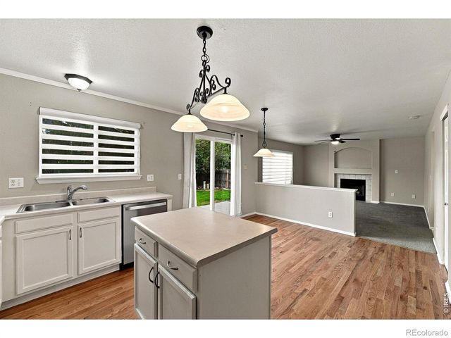 4382 E Andover Avenue, Castle Rock, CO 80104