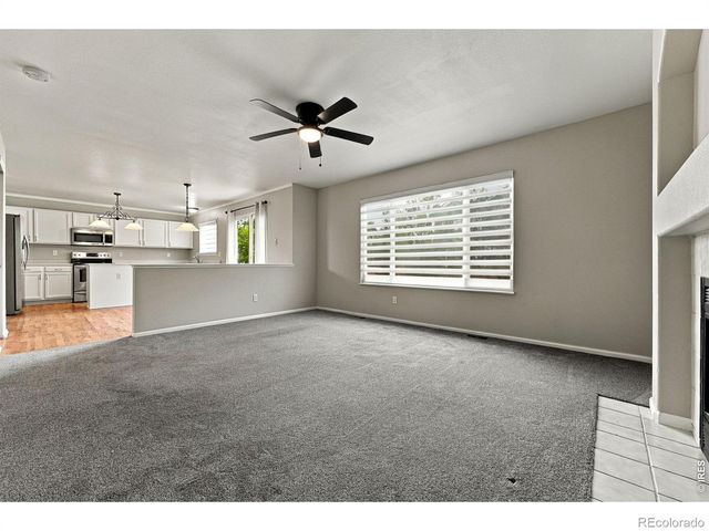 4382 E Andover Avenue, Castle Rock, CO 80104