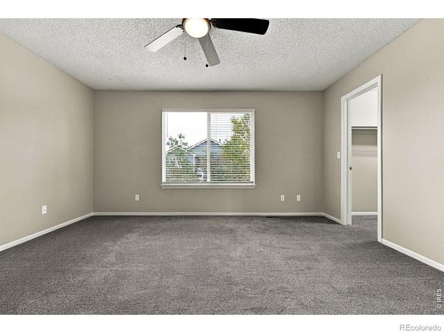4382 E Andover Avenue, Castle Rock, CO 80104